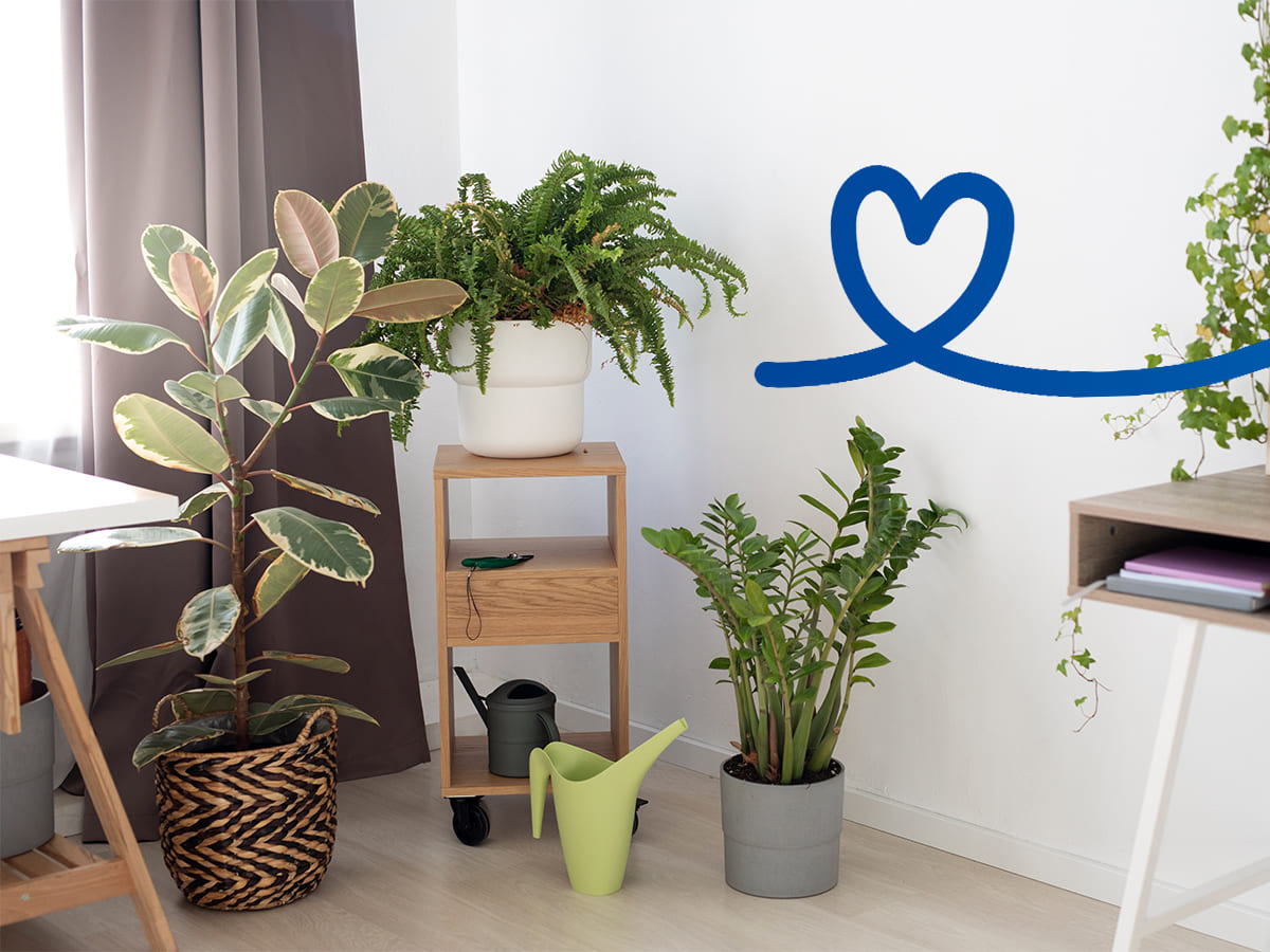 Hogar más verde con plantas 