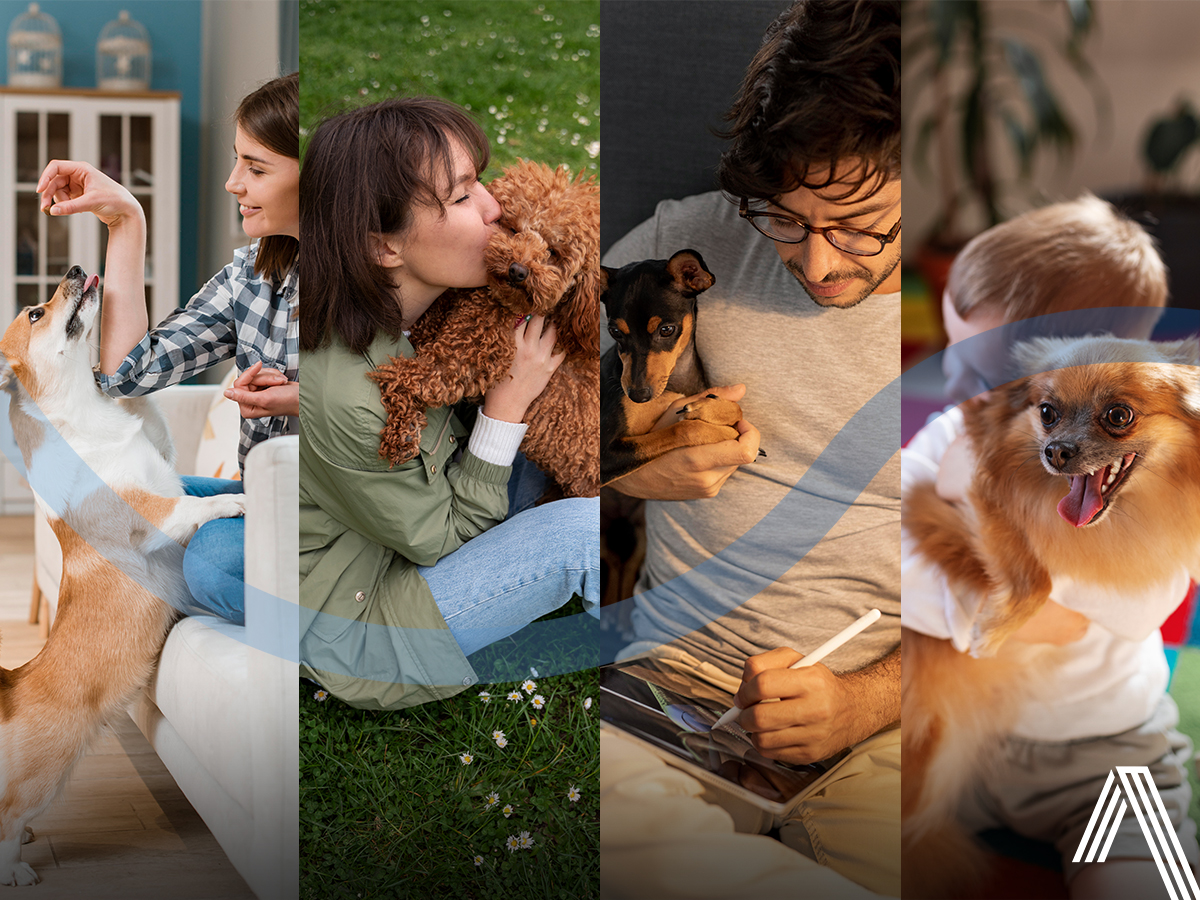Vivir en un desarrollo petfriendly en Querétaro