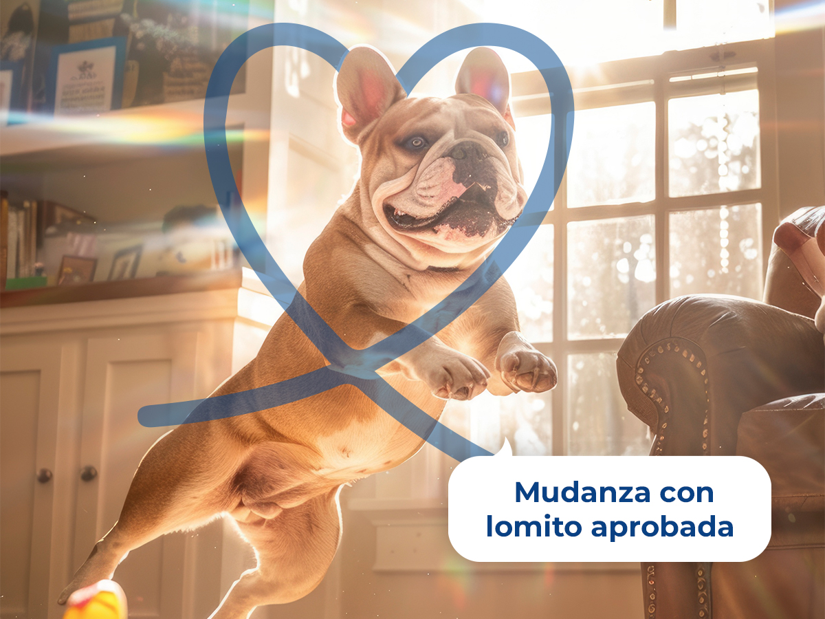 Mudanza aprobada por lomito: descubre tu nuevo departamento petfriendly en Querétaro